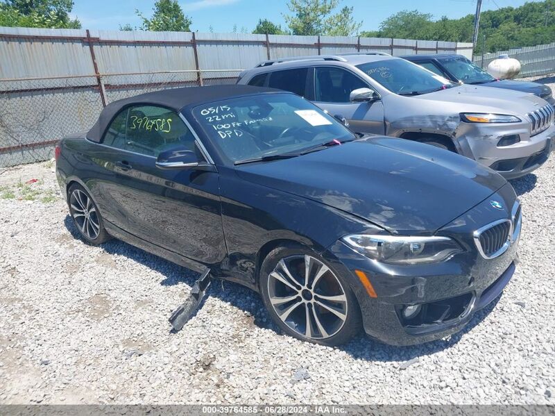 2016 BMW 228I WBA1K9C52GV710845 photo #1